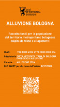 iban donazione